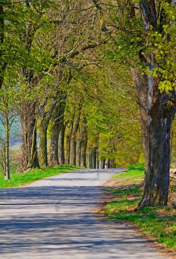 Ferienwohnung Rotbuche Tannenberg Esterno foto